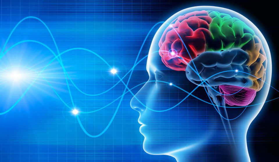 Impacto da Neurologística na Automação de Armazéns e Centros de Distribuição